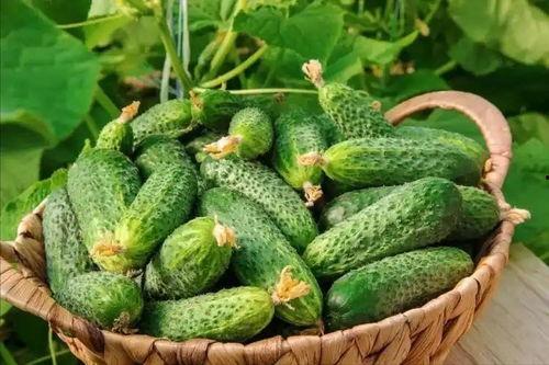 最近大瓜事件,揭秘明星隐私风波背后的真相-第2张图片-午夜无码影院