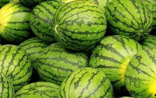 吃瓜网官网免费观看 吃瓜网官网,免费观看,畅享娱乐盛宴-第2张图片-午夜无码影院 吃瓜网官网免费观看 吃瓜网官网,免费观看,畅享娱乐盛宴-第2张图片-午夜无码影院