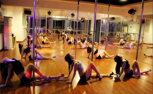 青苑成人舞蹈视频大全,舞动青春，尽享舞蹈魅力-第3张图片-午夜无码影院