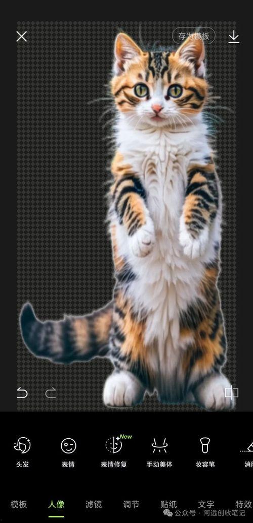 灵猫成人跳绳怎么跳视频,轻松入门,快乐健身-第2张图片-午夜无码影院 灵猫成人跳绳怎么跳视频,轻松入门,快乐健身-第2张图片-午夜无码影院