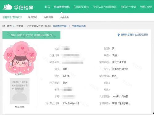 成人本科流程视频,视频解析与步骤指南-第2张图片-午夜无码影院