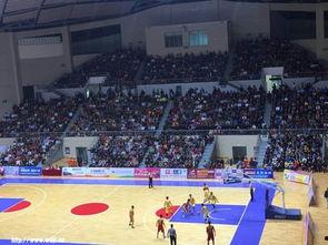 欧洲成人篮球比赛视频,激情四溢，技艺高超-第1张图片-午夜无码影院