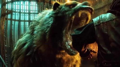 动物变身成人类视频免费,动物变人类奇幻之旅-第1张图片-午夜无码影院