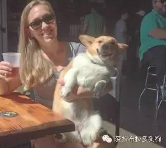 动物变身成人类视频免费,动物变人类奇幻之旅-第3张图片-午夜无码影院