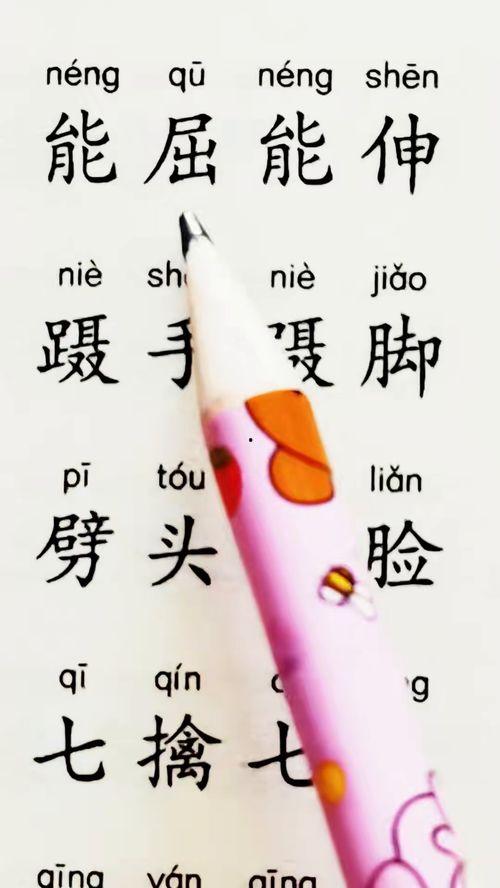 成人认字讲课视频免费,免费视频课程深度解析-第2张图片-午夜无码影院