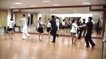 拉丁舞视频舞蹈成人教学,成人舞蹈教学入门指南-第3张图片-午夜无码影院
