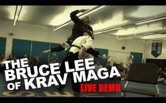 成人格斗训练视频真实,成人格斗训练视频深度解读-第1张图片-午夜无码影院