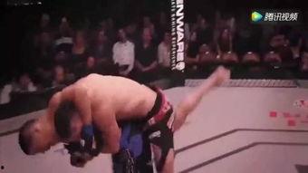 成人格斗训练视频真实,成人格斗训练视频深度解读-第3张图片-午夜无码影院