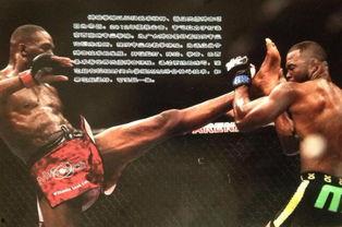 搏击成人热身训练视频,高效启动你的战斗状态-第2张图片-午夜影院