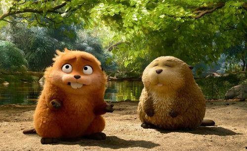 河狸变成人类动画视频,变身人类奇幻之旅-第3张图片-午夜影院