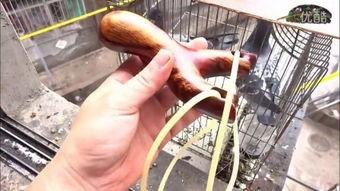 成人弹弓直播视频大全,成人弹弓直播视频大全精彩回顾-第1张图片-午夜影院