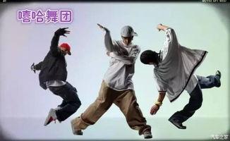 才艺成人街舞视频教程-第1张图片-午夜影院