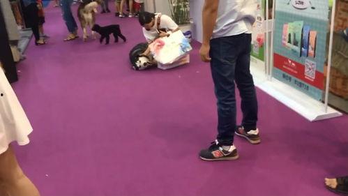 成人躺地打胯视频,成人躺地打胯教程揭秘-第1张图片-午夜影院