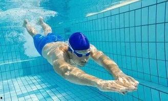 成人学游泳现场视频大全,成人学游泳现场视频精华集锦-第2张图片-午夜影院