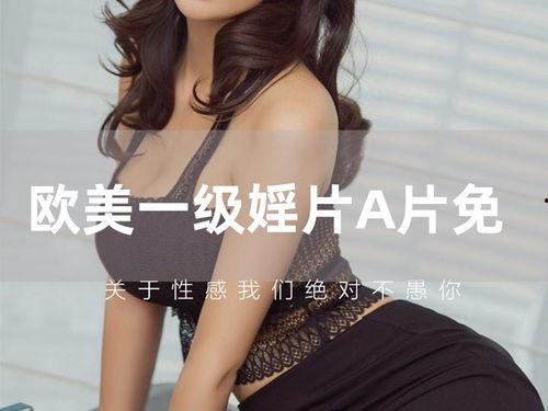 成人欧美在线看视频-第3张图片-午夜影院