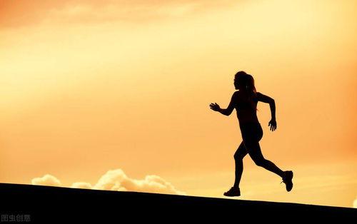 成人自律生活视频大全,视频大全教你打造高效人生-第2张图片-午夜影院