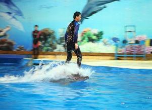 成人制作海底世界视频,成人视角下的海底世界视频制作之旅-第3张图片-午夜影院