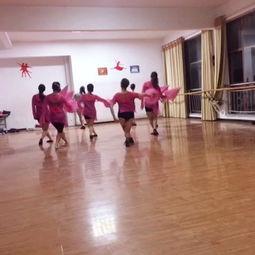 成人舞蹈小成品视频,成人舞蹈小成品视频魅力解析-第1张图片-午夜影院