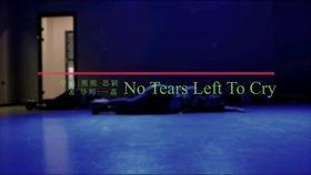 成人舞蹈小成品视频,成人舞蹈小成品视频魅力解析-第3张图片-午夜影院