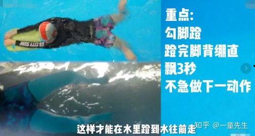 成人游泳视频鉴赏网站,成人游泳视频鉴赏网站深度解析-第3张图片-午夜影院