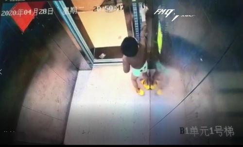 大号成人拼装视频,轻松打造个性玩具，体验DIY乐趣-第3张图片-午夜影院